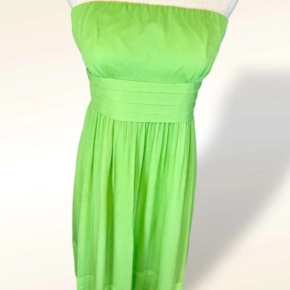 J. Crew ‘Juliet’ Strapless A-Line 100% Silk Special Occasion Y2K Dress Size 6
